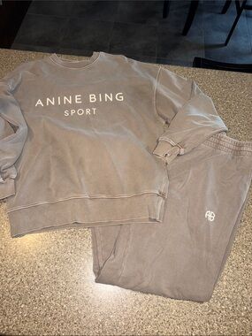 Anine Bing Comfy Jogger Set in Taupe Grey